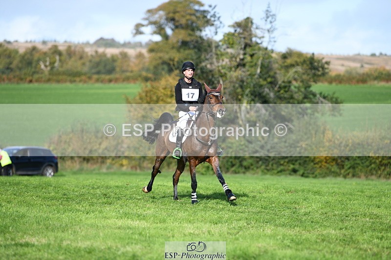 251024A-111756-07606 - A-017-Harrison.Chart