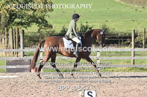 BPP_9547 - SHORT ARENA