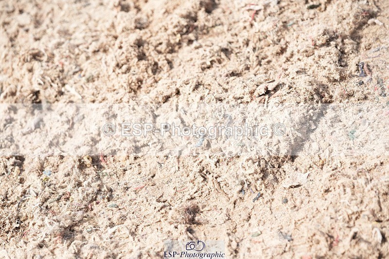 250815-134552-01301 - 1.30pm Presentations