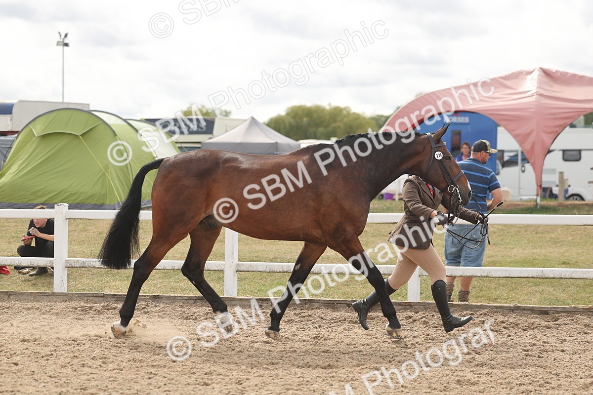 SBM_04978 - Class 20 - IH Veteran