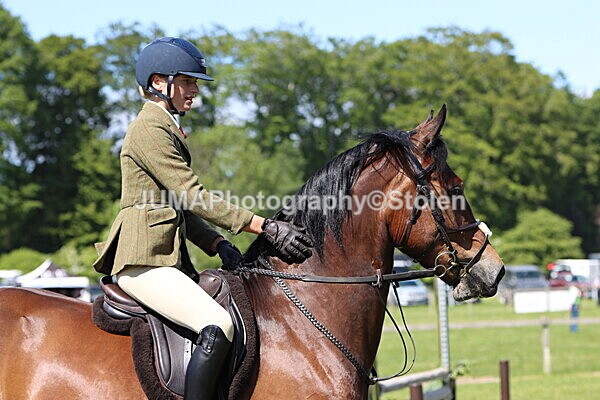 IMG_4365 - Working Hunter