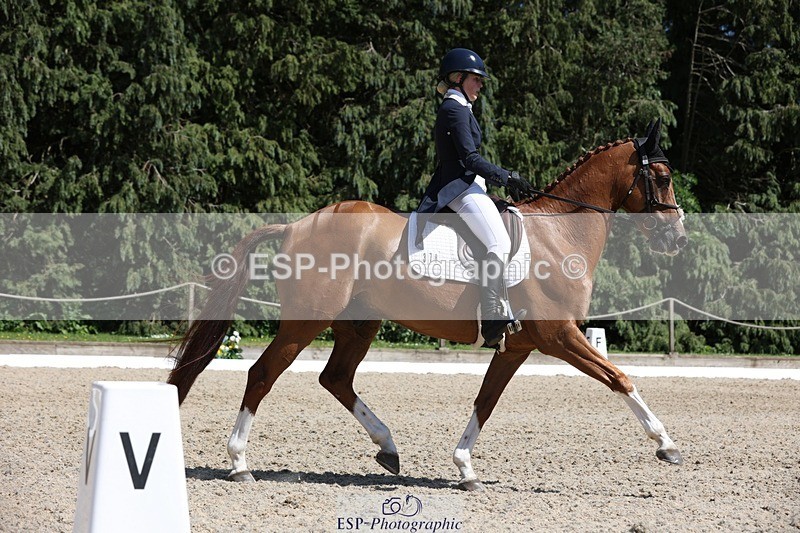 230526-150713-06636 - 378-CLASS_SPEC-Susie_Eddis-WEDTrotUp+DR