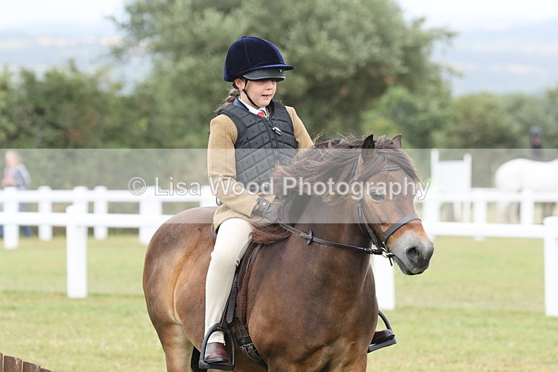 JPP_1763 - Class 18: Tiny Tots Working Hunter Pony