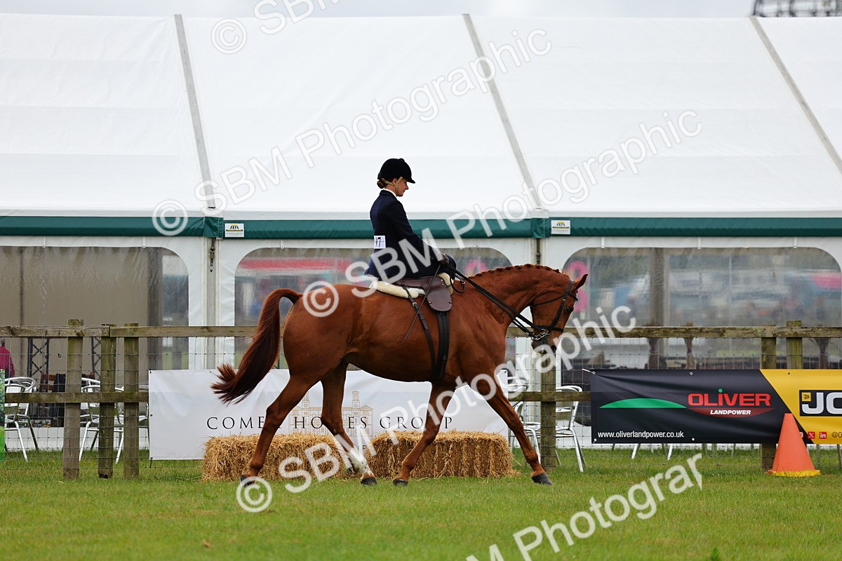 SBM_02750 - Class 9-11 Side Saddle including LIHS Rising Star Ladies Show Horse