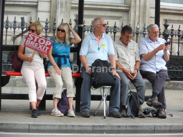 Image 8 - Anti-Brexit Marches