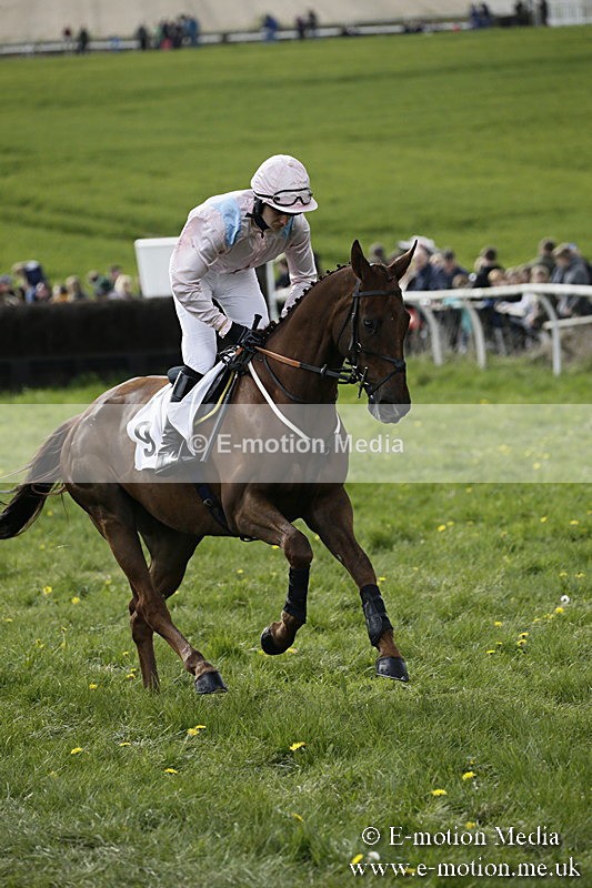 PtP 170417 445 - Old Berks Point-to-Point Lockinge 17/04/17