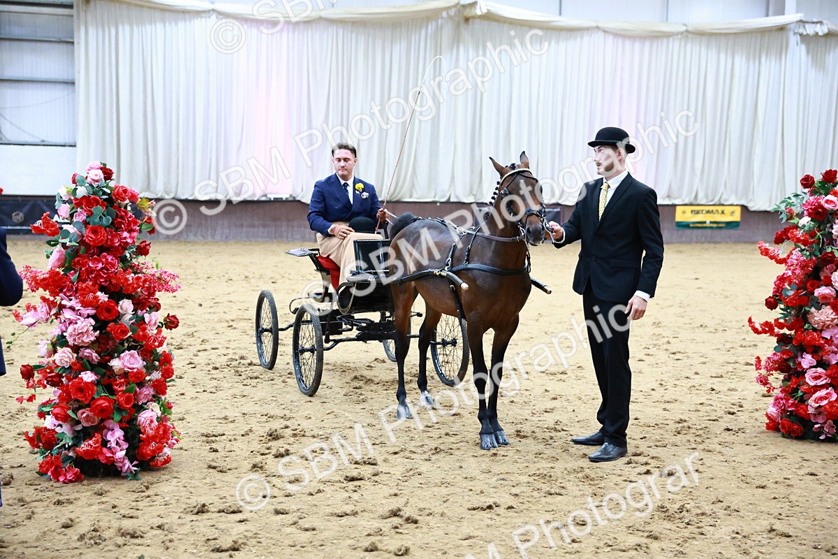 SBM_000687 - Class 9 - HHS Championship Intl Hackney Pony to a Showwagon