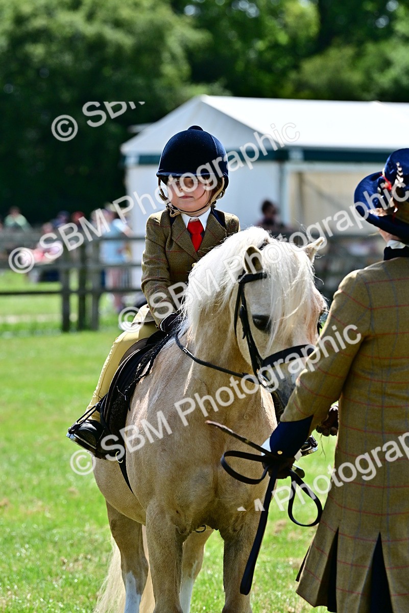 SBM_05924 - Class 59-60 - TSR M&M  Lear Rein and First Ridden Amateur of the year