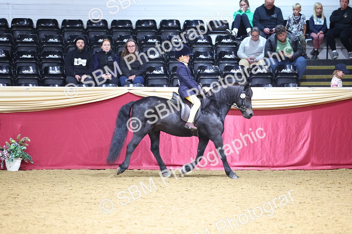 SBM_18443 - Class A Junior Champ 10 Years and Under