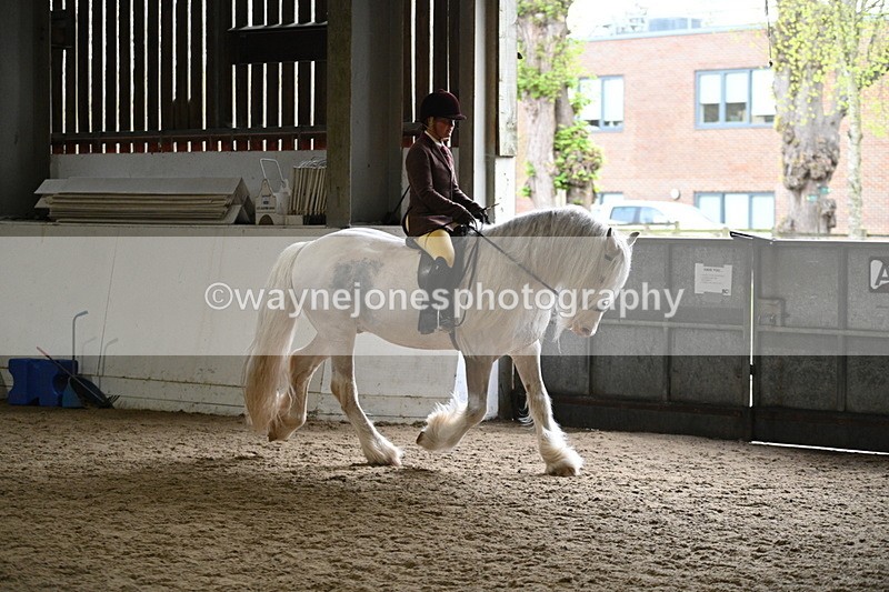 WJ7_3763 - Class 17 Ridden Cob