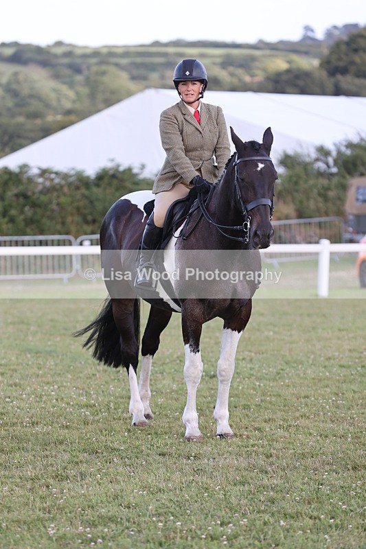 JPP_3563 - Class 22: Working Hunter 90cm