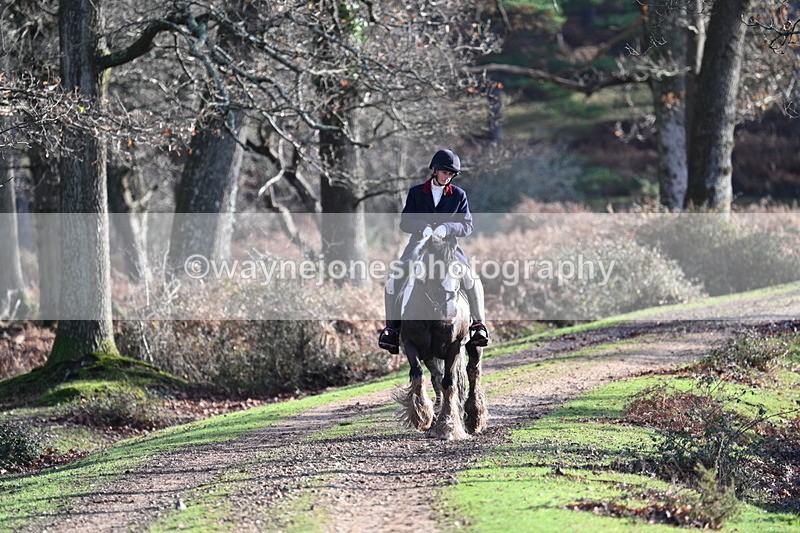 WJ7_7775 - Line 3 (no line 4 or 5)