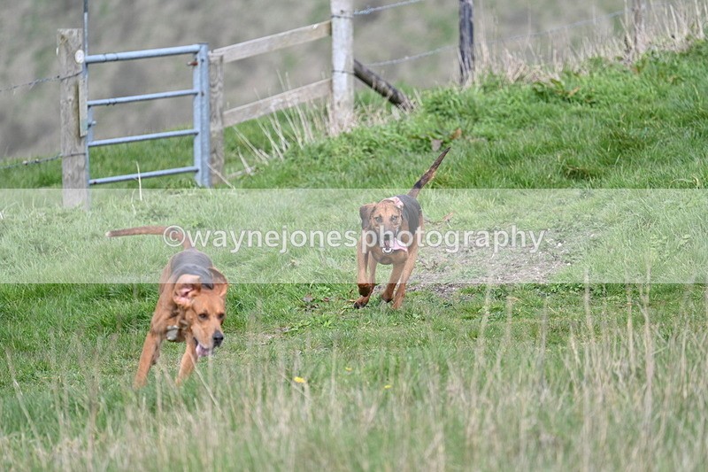 WJ7_8033 - Line 2 A camera