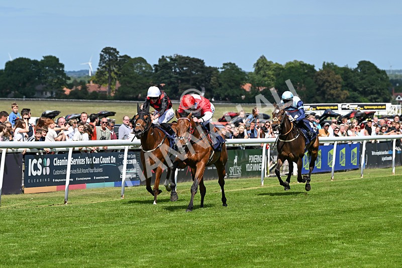 280525-Race 3-Rogue Invader-4818 - Race 3