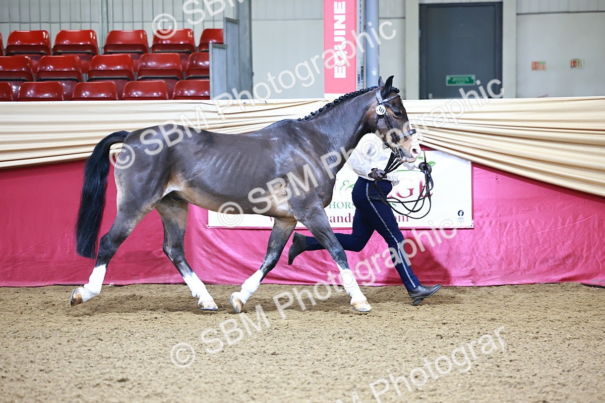 SBM_21668 - Class 901 - Supreme Final - IH  Diamond