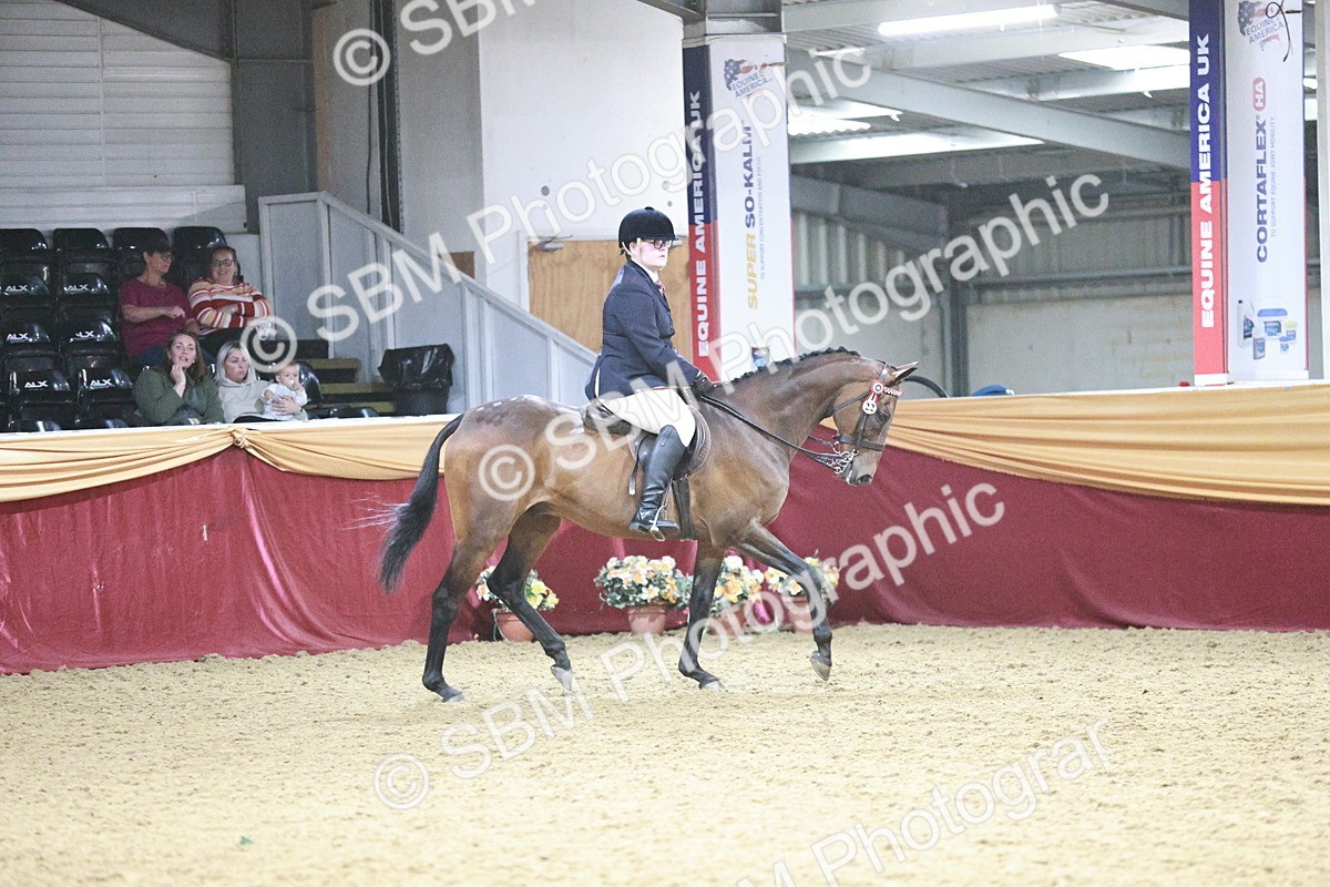 SBM_08162 - Class 11R - Regional Ridden Veteran