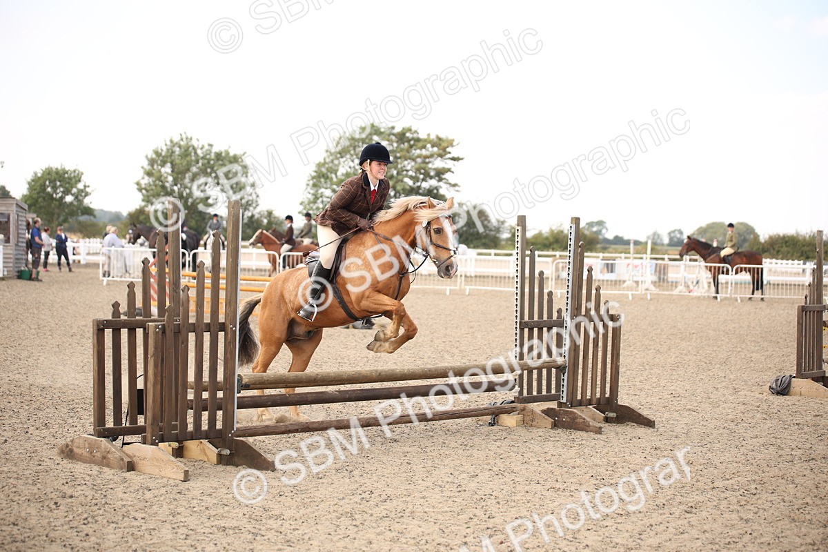 SBM_15992 - Class 408b - Working Veteran 70cm (20+)