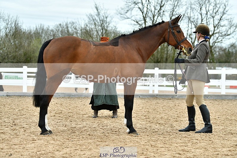 230416A-135352-04965 - Cls 60 Ridden Show Horse