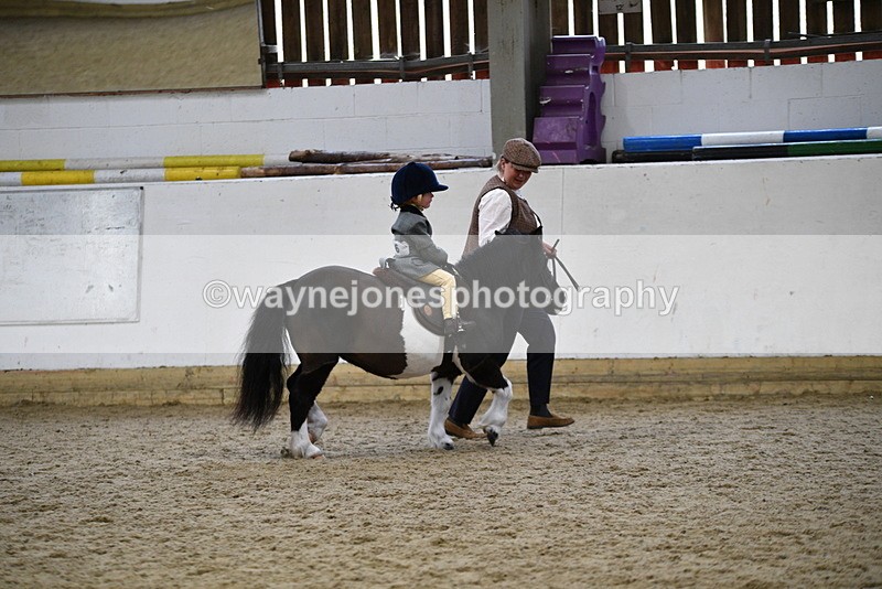 WJ5_6645 - Class 10 Childs Pony