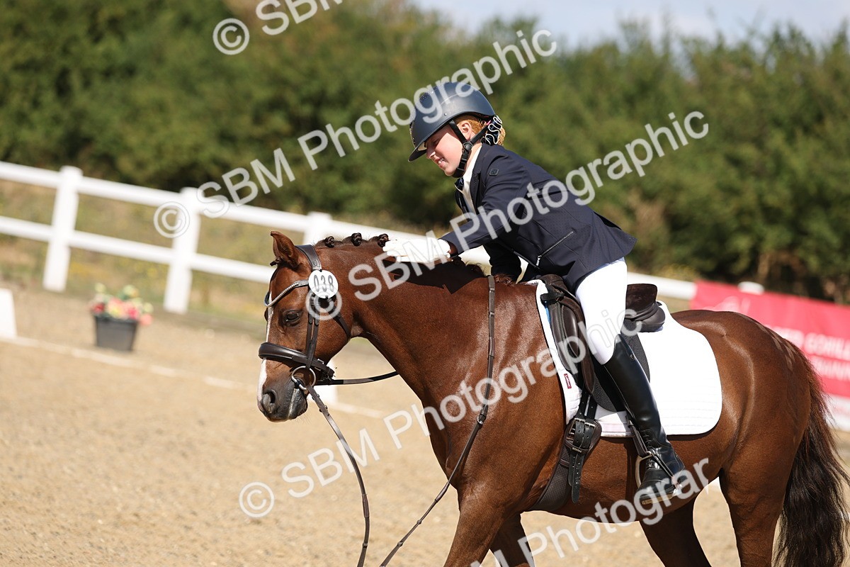 SBM_013729 - Class 1 - P5 Bronze 10.38.12.02