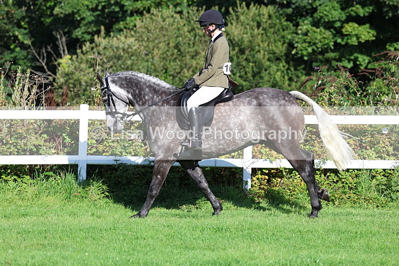 3E7A7616 - Class 1: Novice Working Hunter Pony