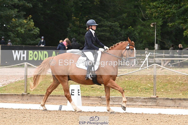 250720A-103441-09597 - 104-Molly.Northmore-Pennmoor.Liberation