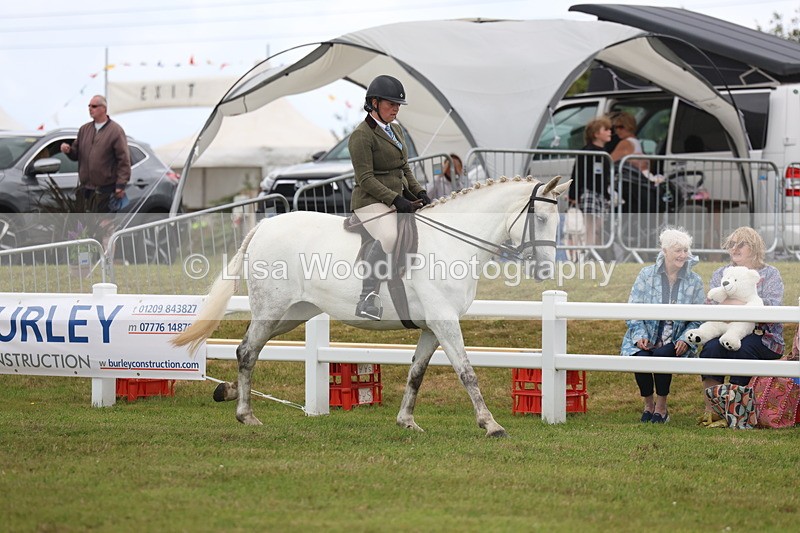 3E7A1410 - Class 9: Open Hunter