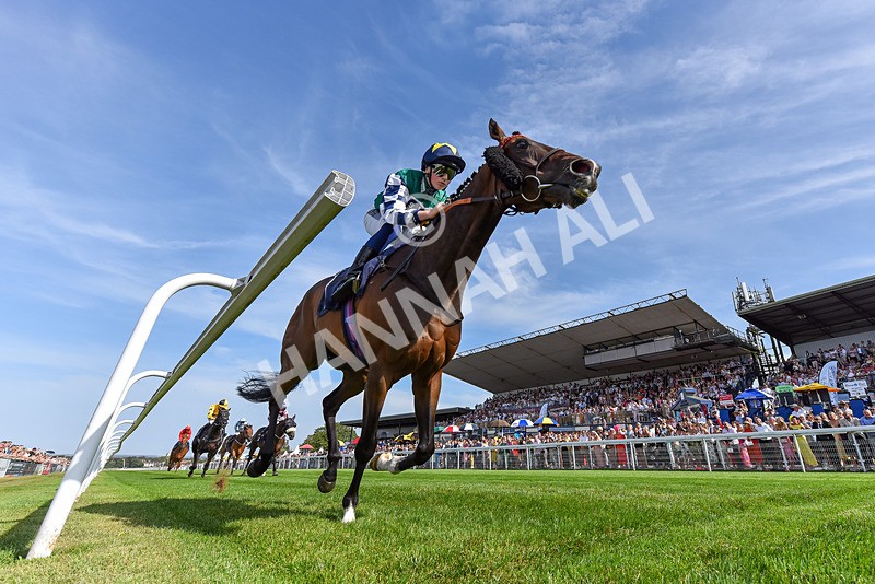 130825-Race 5-Bell Shot-2-2 - Race 5