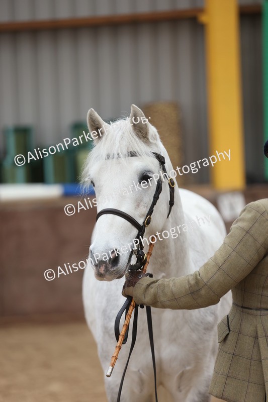 20251109-0932 - Class 26 - 2 and 4 Year Olds