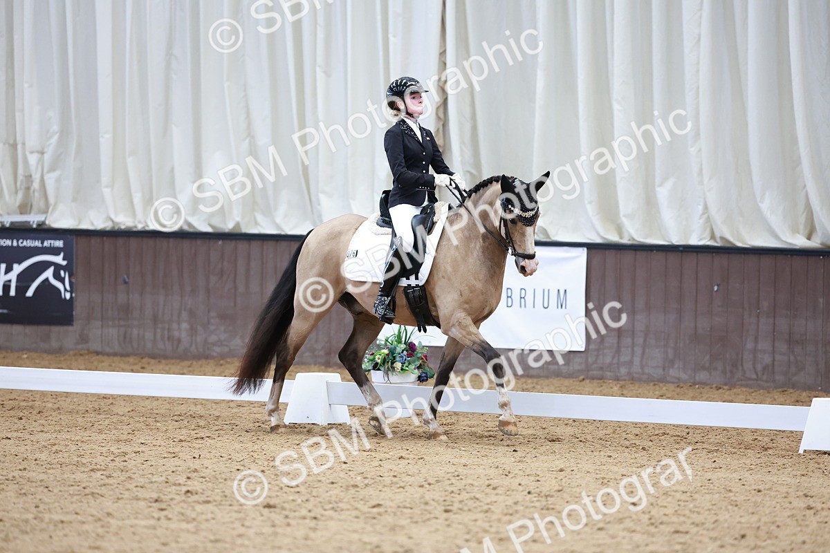 SBM_017347 - Class15 - FEI Pony