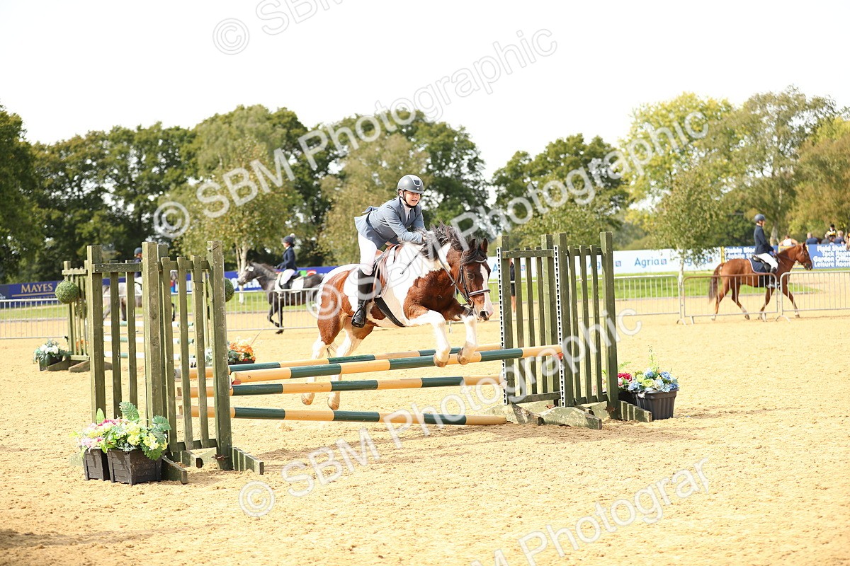 SBM_67129 - J17 - Junior Pony 80cm Championship