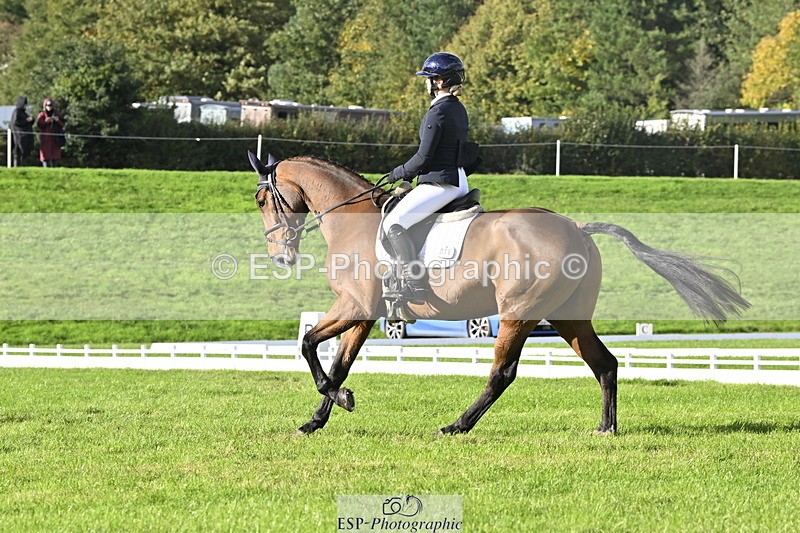 251023A-150936-04529 - E-386-Zara.Head