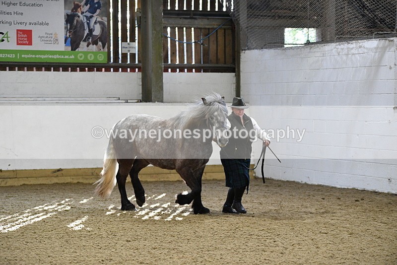 WJ5_3476 - Class 1 Youngstock