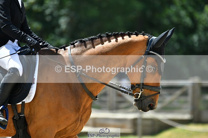 230623-131641-02348 - Cls 4 Novice 37Q 12.45 to End