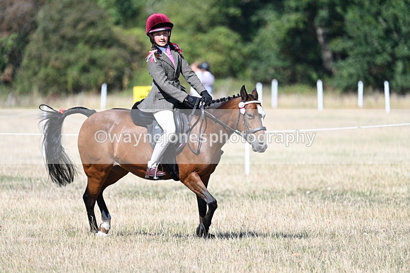 WJ7_4039 - Class 9 Mountain & Moorland Ridden