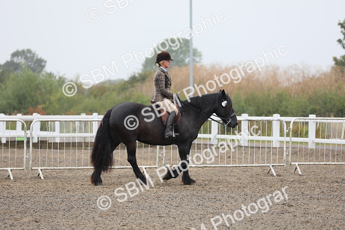 SBM_20264 - Class 803 - Ridden Combination 65+