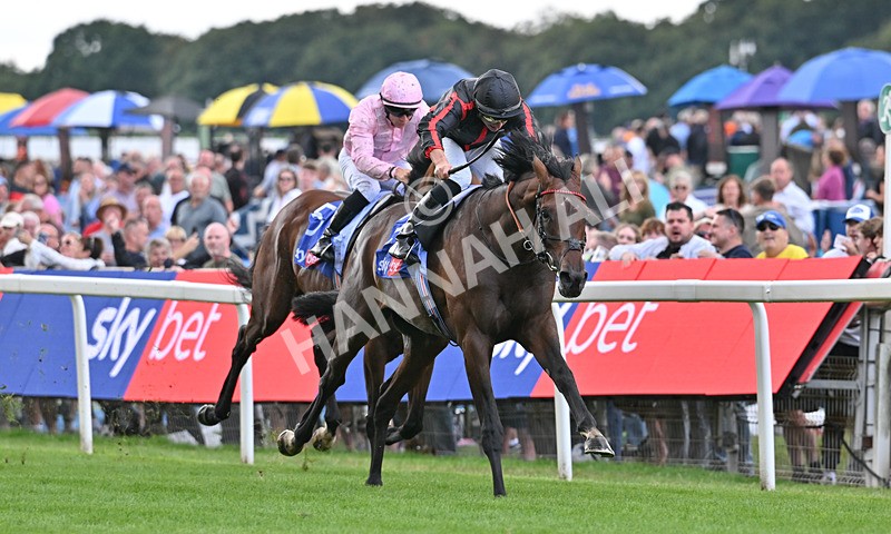 190826-076 Maltese Cross - Race 3 15.00pm Sky Bet Great Voltigeur Stakes