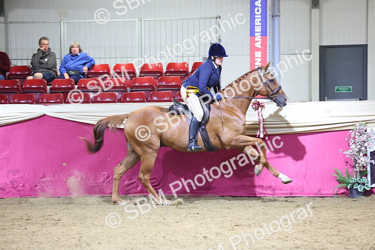0B8A4298 - Class 108Ridden Retired Racehorse- Final Judging