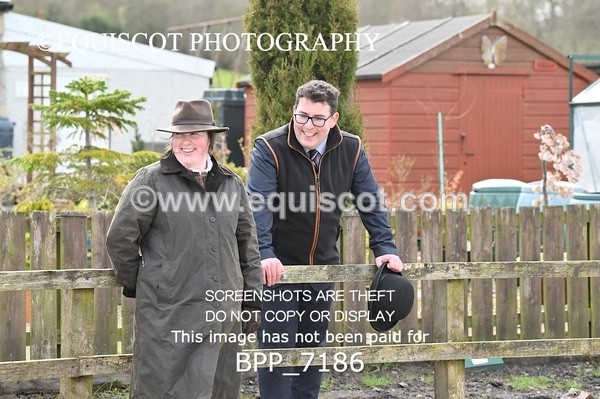 BPP_7186 - RING 1  (RIDDEN HORSES / IN HAND / VETERAN ETC)