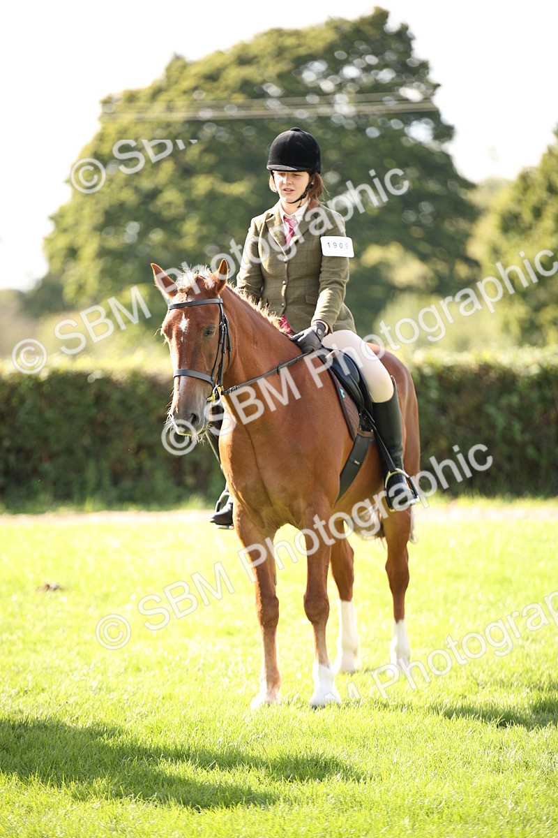 SBM_50081 - S26 - Young Veteran - Ridden