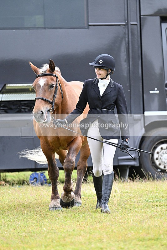 WJ7_6251 - Class 4a Prettiest Mare over 14hh