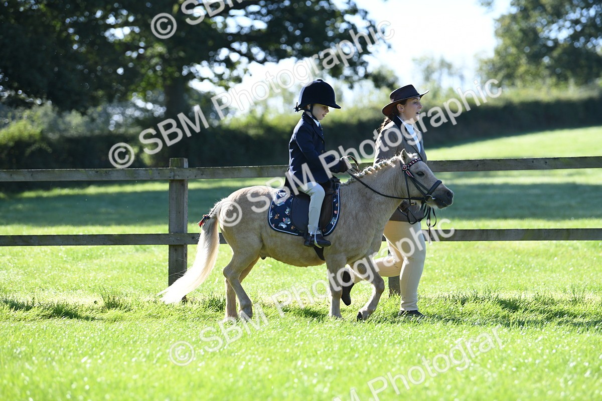 SBM_36731 - S18 - Novice & Newcomers Lead Rein Pony