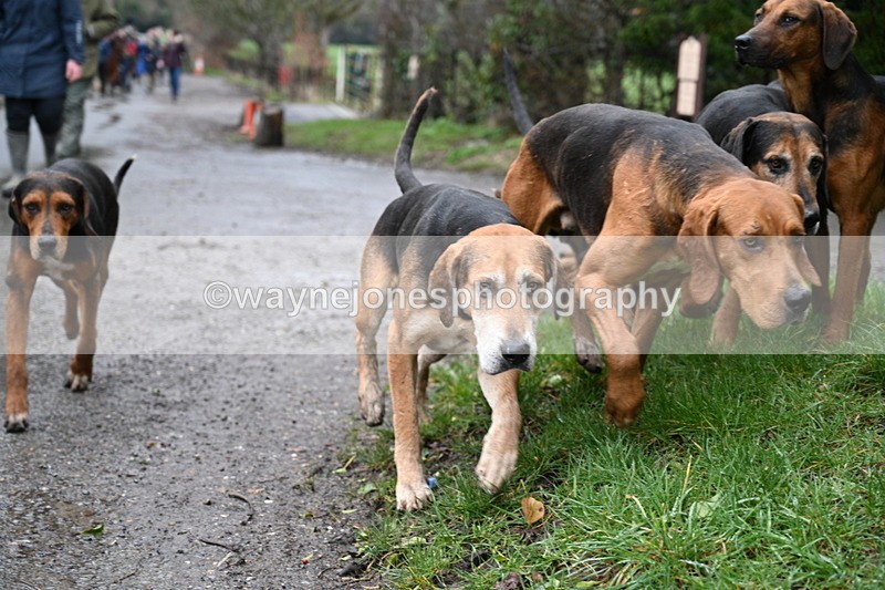 WJ7_9378 - Walk out..