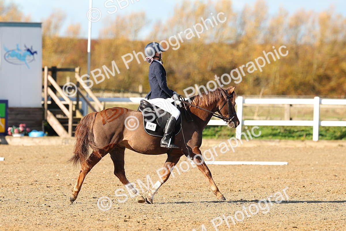 SBM_000247 - Prelim 5