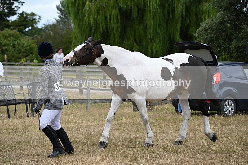 WJ6_8283 - Class 10 Coloured in Hand