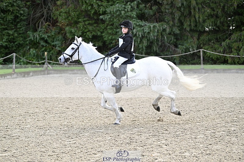 251005A-090527-02938 - Cls 02 GR 50cm