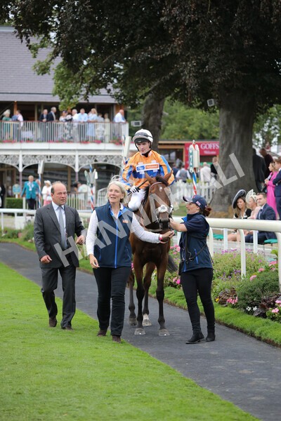 yr18082022r7-34 - Race 7 5.20pm British Stallion Studs EBF Fillies' Stakes