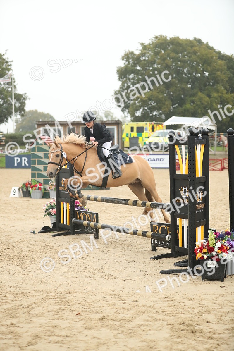 SBM_74286 - Supreme championship Junior Pony 70cm 75cm