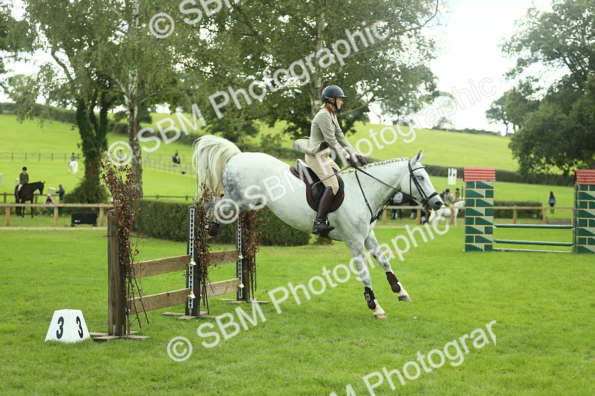SBM_47983 - S32 - Novice & Newcomers Working Hunter