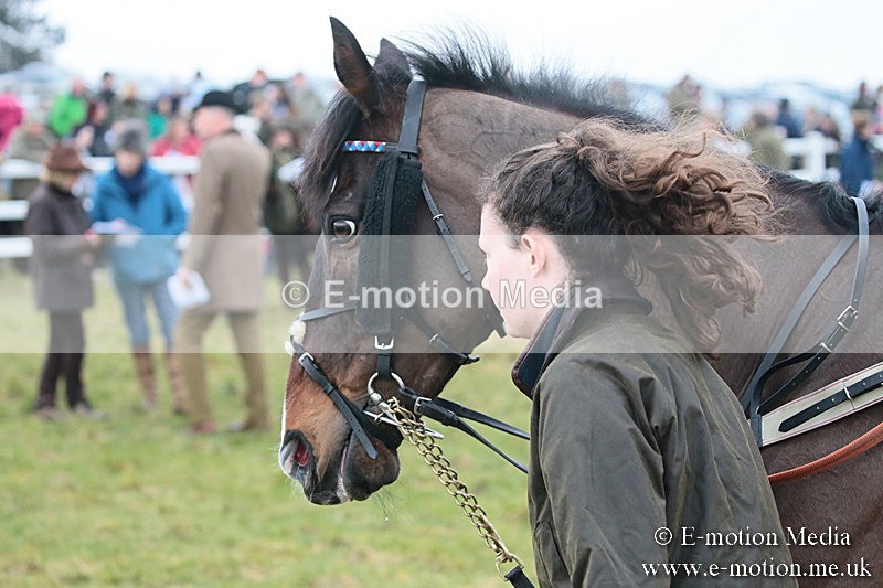 PtP 170219 -36 - Combined Services Point-To-Point Larkhill 17/02/19